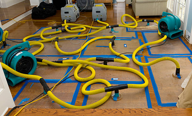 Professional Water Damage Repair technician working in Woodway, TX